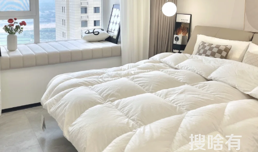 12平米的主卧小吗（12平米的主卧多大床合适）