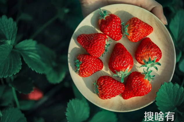 冬天草莓怎么加热好吃3